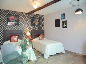 Coyotito Beds Coyoacan