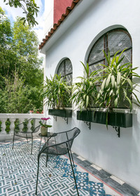 Orchid House