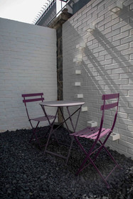 Pug Seal Anatole France