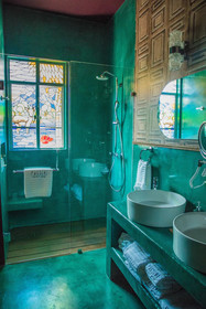 Pug Seal Anatole France