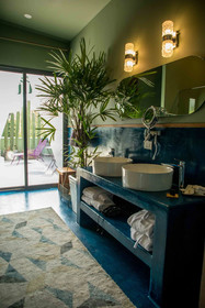 Pug Seal Anatole France