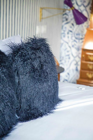 Pug Seal Anatole France