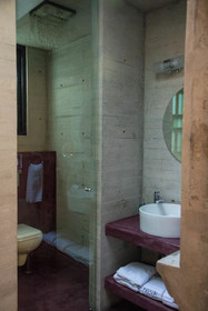 Pug Seal Anatole France