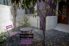 Pug Seal Anatole France