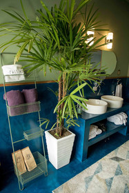 Pug Seal Anatole France