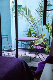 Pug Seal Anatole France