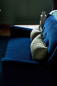 Pug Seal Anatole France