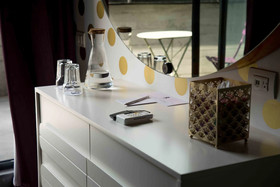 Pug Seal Anatole France