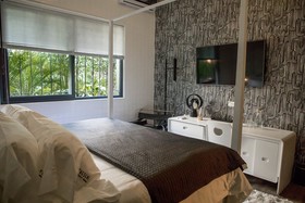 Pug Seal Anatole France