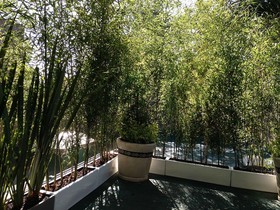 Pug Seal Boutique B&B