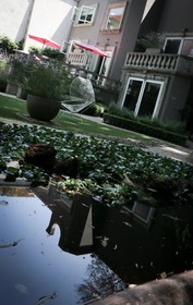 Pug Seal Boutique B&B