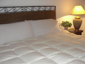 Steinhaus Homero 829