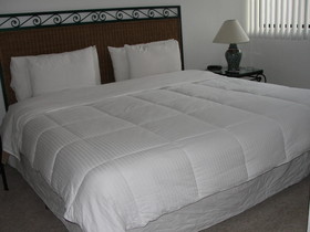 Steinhaus Homero 829