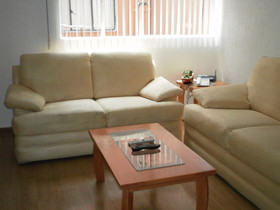 Steinhaus Homero 829