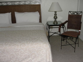 Steinhaus Homero 829