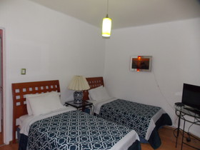 Steinhaus Homero 829