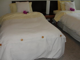 Steinhaus Homero 829