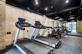 Boga Mexico City by Lumina