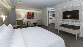 Holiday Inn Express Mexico - Toreo