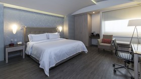 Holiday Inn Express Mexico - Toreo