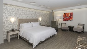 Holiday Inn Express Mexico - Toreo