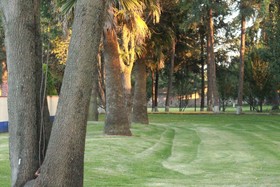 Finca Las Hortensias