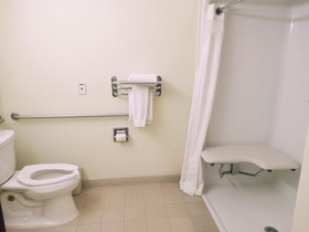 Microtel Inn & Suites by Wyndham Toluca