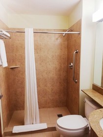 Microtel Inn & Suites by Wyndham Toluca
