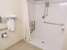 Microtel Inn & Suites by Wyndham Toluca