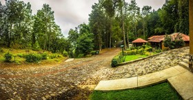 Zirahuen Forest and Resort