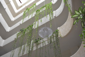 Hotel Acamar