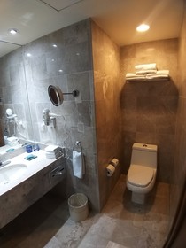 Camino Real Acapulco Diamante