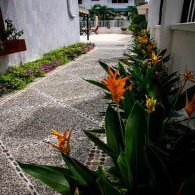 HM Hotel Marian