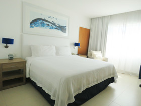 Holiday Inn Acapulco La Isla