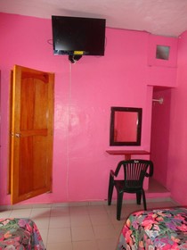 Hotel La Jungla