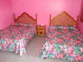 Hotel La Jungla