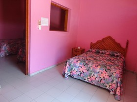 Hotel La Jungla