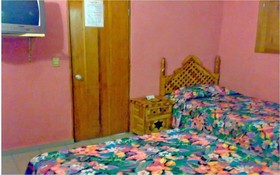 Hotel La Jungla