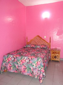 Hotel La Jungla