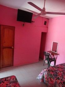 Hotel La Jungla