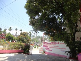 Hotel La Jungla