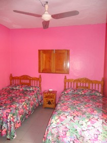 Hotel La Jungla