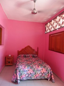 Hotel La Jungla