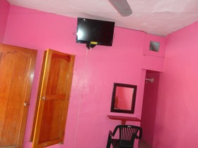 Hotel La Jungla