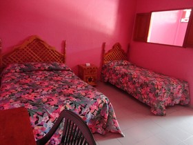 Hotel La Jungla