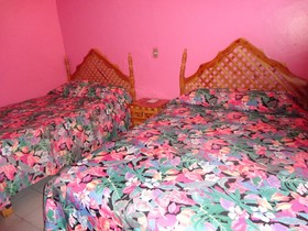 Hotel La Jungla
