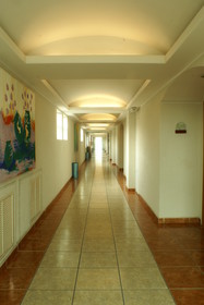 Hotel Tortuga Express