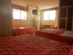 Suites Licha