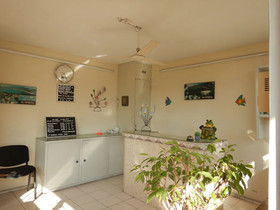 Suites Licha