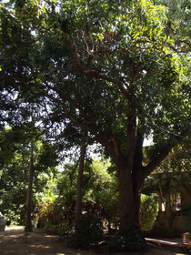 Villas Los Angeles